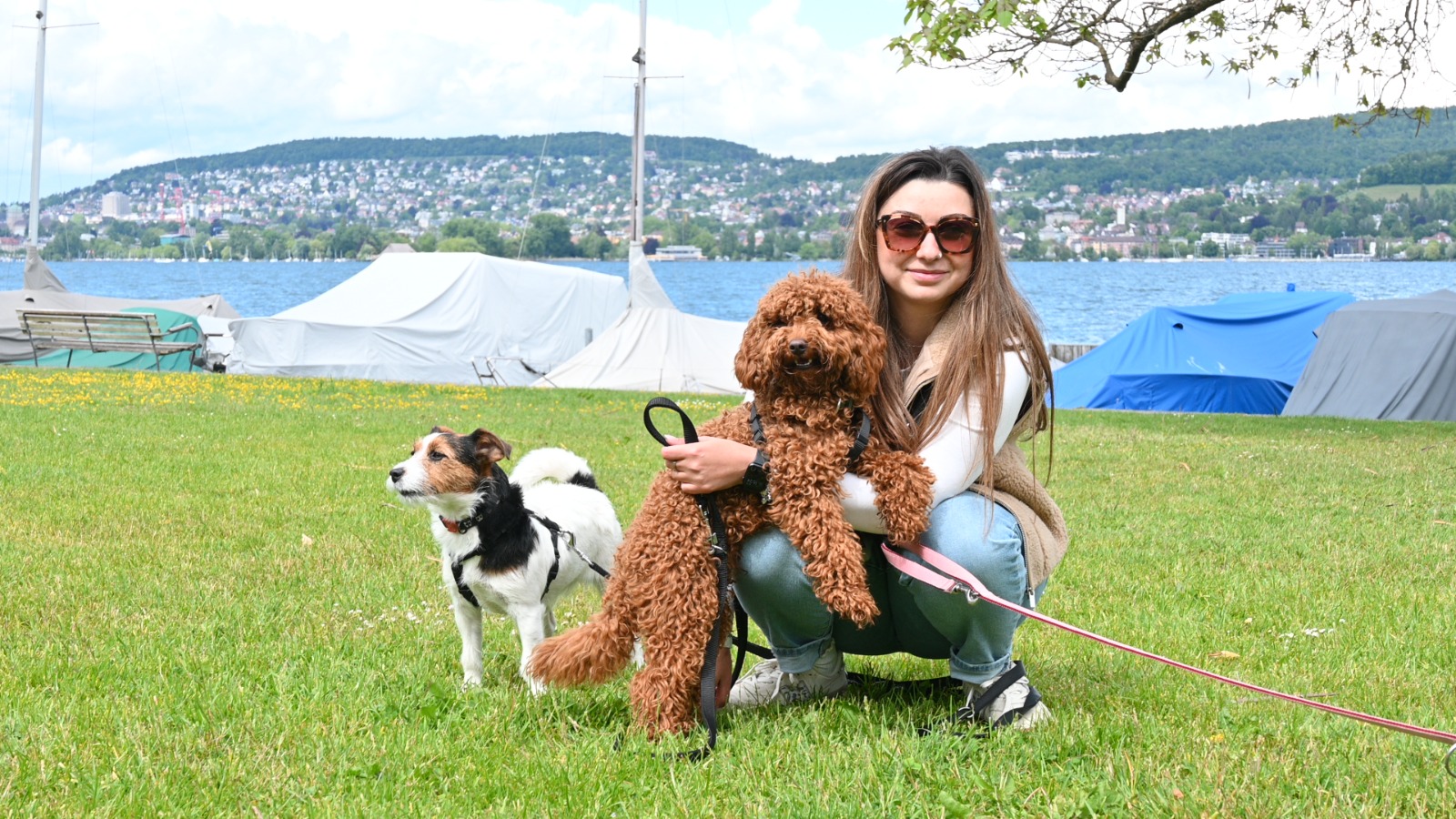 Elvira mit mehreren Hunden am Zuerichsee